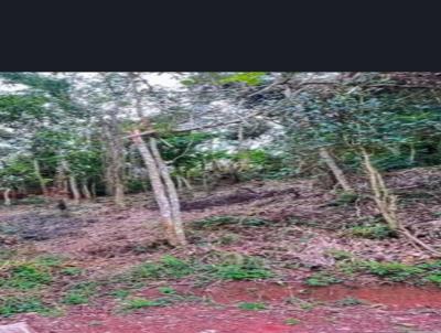 Terreno para Venda, em Rio Grande da Serra, bairro Parque do Governador