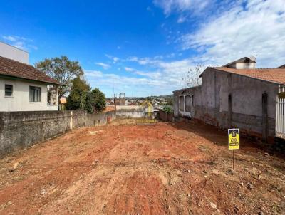 Terreno para Venda, em Tel�maco Borba, bairro Centro