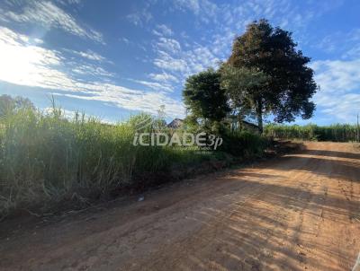 Terreno para Venda, em Tr�s Passos, bairro Padre Gonzales
