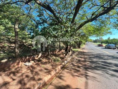 Terreno para Venda, em Len��is Paulista, bairro Jardim Itamaraty