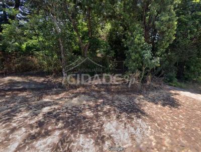 Terreno para Venda, em Tr�s Passos, bairro Santa In�s