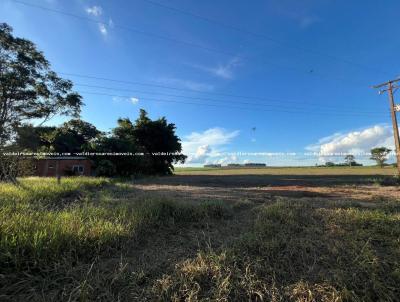 Ch�cara para Venda, em Ponta Por�, bairro CABECEIRA DO APA