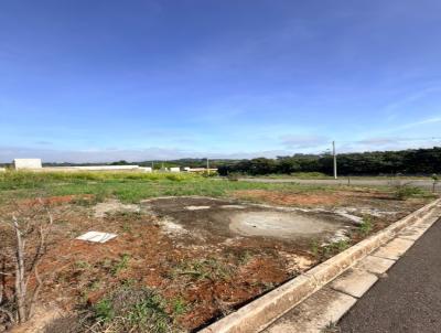 Terreno para Venda, em �guas da Prata, bairro Residencial Boa Vista II