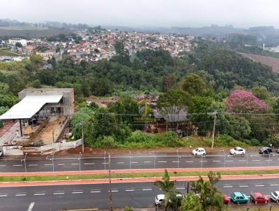 Terreno para Venda, em Tel�maco Borba, bairro Area 3