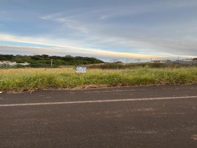 Lote para Venda, em Coronel Vivida, bairro Loteamento Gubert
