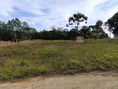 Terreno para Venda, em Lapa, bairro Zona Rural