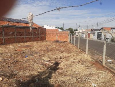 Terreno para Venda, em Ara�atuba, bairro S�O RAFAEL