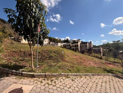 Lote para Venda, em Vi�osa, bairro Loteamento Estrelas