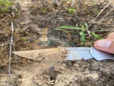Fazenda para Venda, em Nossa Senhora do Livramento, bairro COMUNIDADE DO FAVAL