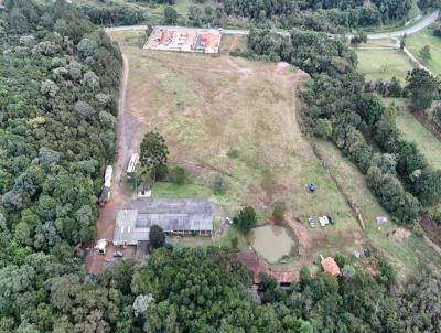 Terreno Industrial para Loca��o, em Campo Largo, bairro Butiatuva