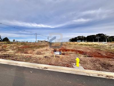 Terreno para Venda, em Xanxer�, bairro Aparecida