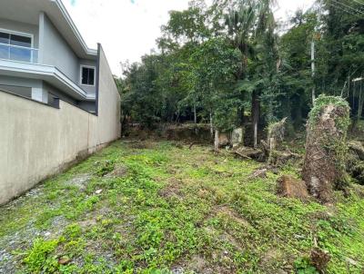 Terreno para Venda, em Joinville, bairro Am�rica