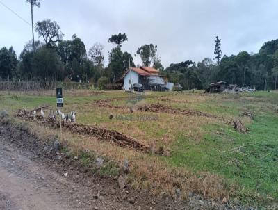 Terreno para Venda, em Pi�n, bairro trigolandia