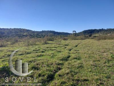 Fazenda para Venda, em Piracicaba, bairro Tamandup�, 2 dormit�rios, 1 banheiro