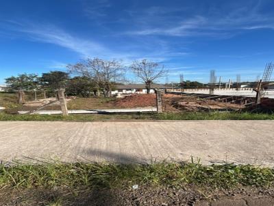 Terreno para Venda, em Ven�ncio Aires, bairro Santa Tecla