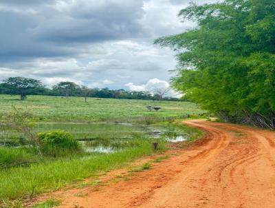 Fazenda para Venda, em Alto Araguaia, bairro 