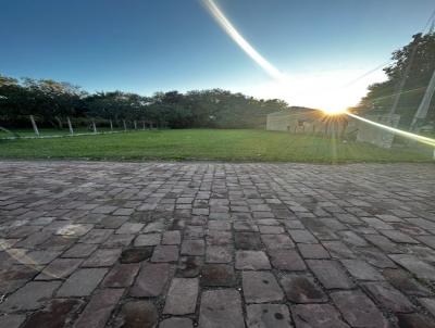 Terreno para Venda, em Ven�ncio Aires, bairro Br�gida
