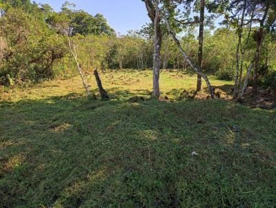 Terreno para Venda, em Peru�be, bairro Jardim Santa Gabriela