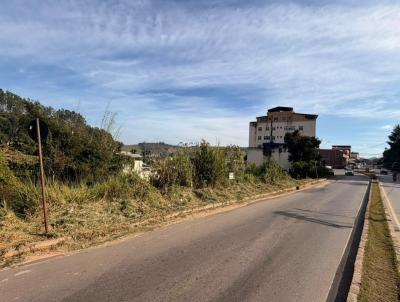 Lote para Venda, em Vi�osa, bairro Avenida Maria de Paula Santana