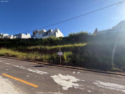 Terreno Urbano para Venda, em Muria�, bairro Villa Real