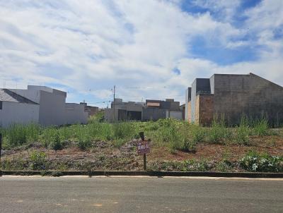 Lote para Venda, em Carmo do Parana�ba, bairro BAIRRO BELO HORIZONTE