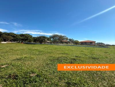 Terreno para Venda, em Regente Feij�, bairro 