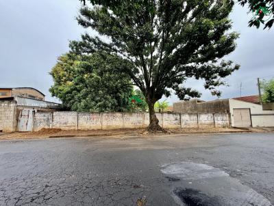 Terreno para Venda, em Agua�, bairro Vila Braga