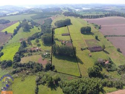 S�tio para Venda, em Alfenas, bairro Mat�o, 2 dormit�rios, 1 banheiro, 1 vaga
