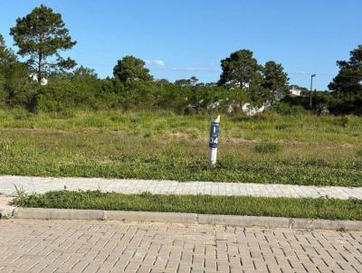 Terreno para Venda, em Florian�polis, bairro S�o Jo�o do Rio Vermelho