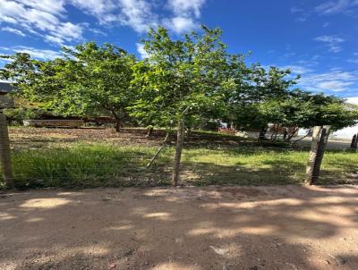 Terreno Urbano para Venda, em Muria�, bairro Jos� Cirilo