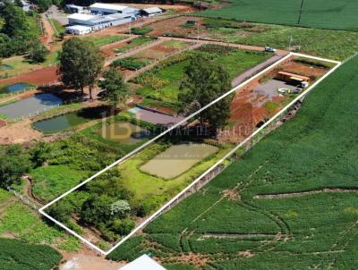 Ch�cara para Venda, em Erechim, bairro Interior