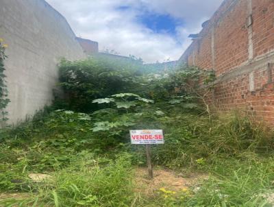 Terreno para Venda, em Pesqueira, bairro Pitanga
