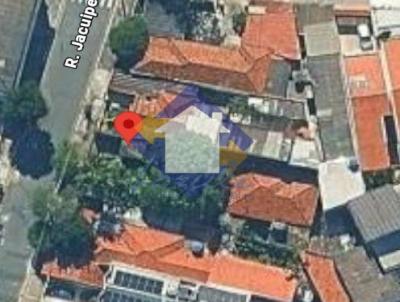 Terreno para Venda, em S�o Paulo, bairro Vila Guilhermina