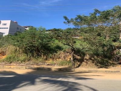 Terreno para Venda, em Cataguases, bairro Ibraim