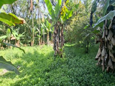 Ch�cara para Venda, em Itariri, bairro Ana Dias