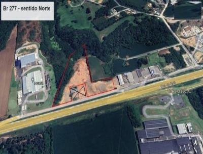 Terreno Industrial para Venda, em Campo Largo, bairro Jardim Bela Vista