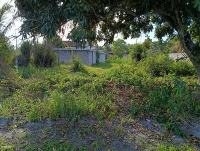 Terreno para Venda, em Nova Vi�osa, bairro 