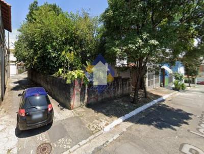 Terreno para Venda, em S�o Paulo, bairro Vila Guilhermina
