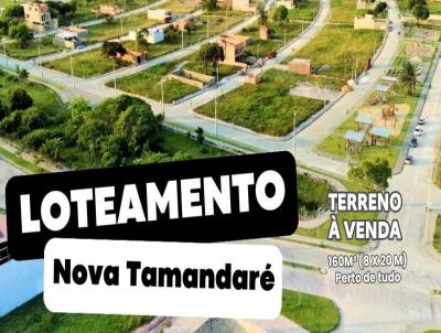 Terreno para Venda, em Tamandar�, bairro Nova Tamandar�
