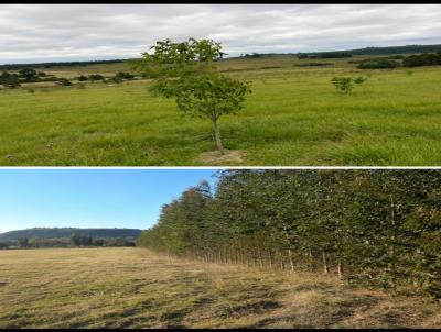 �rea Rural para Venda, em Santana do Livramento, bairro 