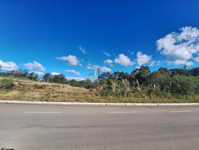 Terreno para Venda, em Garibaldi, bairro Alf�ndega