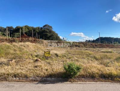 Terreno para Venda, em Vacaria, bairro Chacar� das Palmeiras