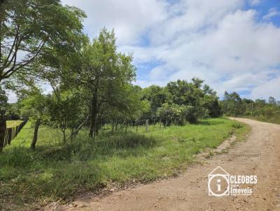 S�tio / Ch�cara para Venda, em Dom Feliciano, bairro Interior