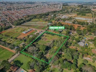�rea Rural para Venda, em Ponta Grossa, bairro Contorno