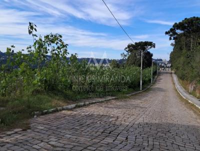 Terreno para Venda, em Garibaldi, bairro Chacaras