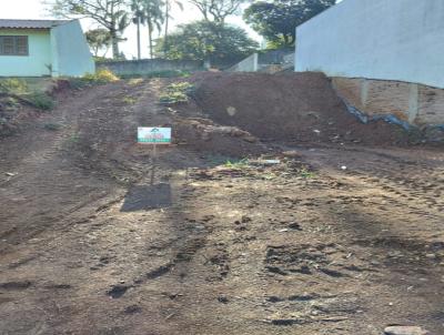 Terreno para Venda, em Santa Cruz do Sul, bairro Belvedere
