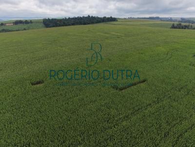 Fazenda para Venda, em Corn�lio Proc�pio, bairro ZONA RURAL
