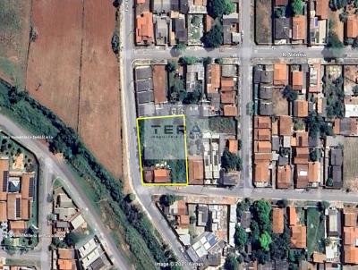 Terreno para Venda, em Senador Canedo, bairro Setor central