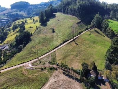 �rea Rural para Venda, em Aratiba, bairro Linha Liso, 4 dormit�rios, 1 banheiro, 1 vaga