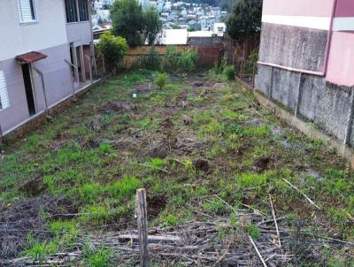 Terreno para Venda, em Erechim, bairro Cotrel